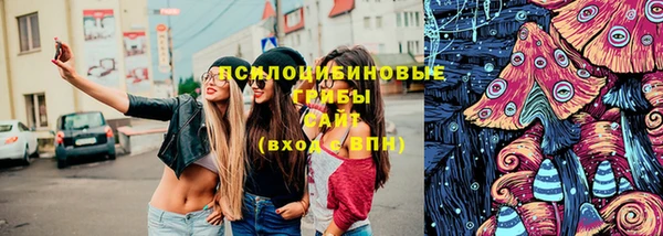 сатива Балабаново