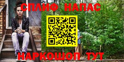 прущие грибы Новозыбков