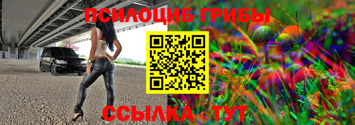 Черняховск  купить наркотик  Галлюциногенные грибы Magic Shrooms  Вход с VPN  Псилоцибиновые грибы Psilocybe 